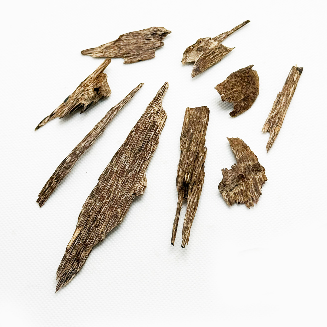 Terengganu, Malaysia Oud Chips A