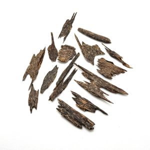 Terengganu, Malaysia Oud Chips AA